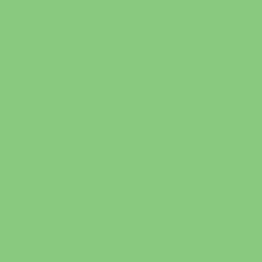 tula-pink-solids-cricket Tula Pink Solids – Cricket