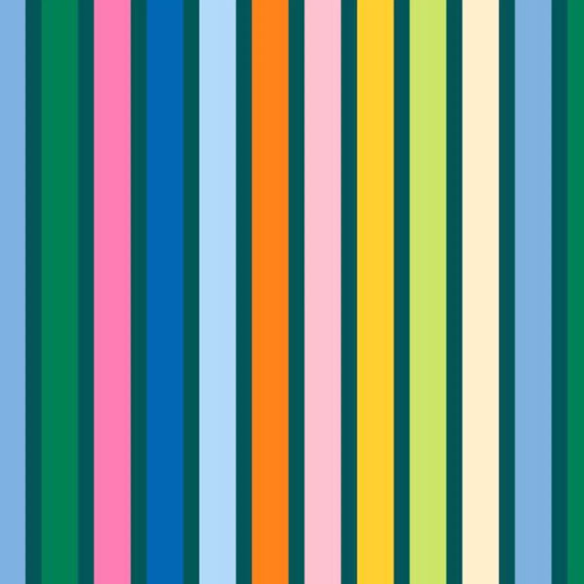 Wide Stripe Moody Multi by Emily Van Hoff
